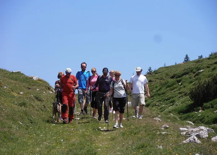 فندق مبيت وإفطار Base Camp